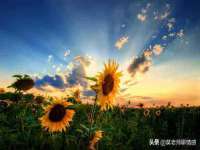 广灵县久盛农牧有限公司