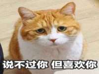 广灵县久盛农牧有限公司