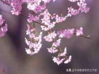 广灵县久盛农牧有限公司