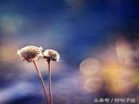 广灵县久盛农牧有限公司
