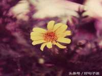 广灵县久盛农牧有限公司