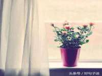 广灵县久盛农牧有限公司