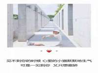 广灵县久盛农牧有限公司