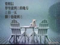 广灵县久盛农牧有限公司