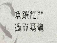 广灵县久盛农牧有限公司