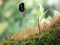 广灵县久盛农牧有限公司