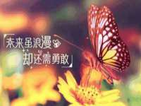 广灵县久盛农牧有限公司