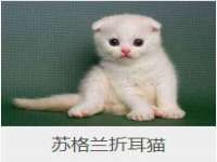 广灵县久盛农牧有限公司