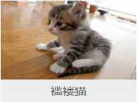 广灵县久盛农牧有限公司