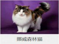 广灵县久盛农牧有限公司