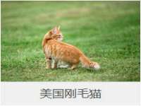广灵县久盛农牧有限公司