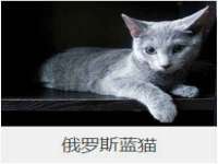 广灵县久盛农牧有限公司