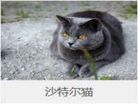 广灵县久盛农牧有限公司