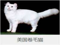 广灵县久盛农牧有限公司