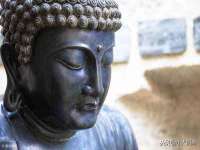 广灵县久盛农牧有限公司