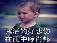 广灵县久盛农牧有限公司