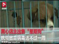 广灵县久盛农牧有限公司