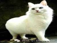 广灵县久盛农牧有限公司
