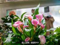 广灵县久盛农牧有限公司