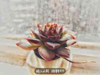 广灵县久盛农牧有限公司