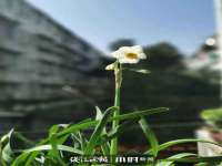 广灵县久盛农牧有限公司