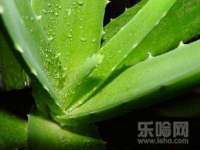 广灵县久盛农牧有限公司