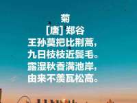 广灵县久盛农牧有限公司