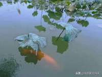 广灵县久盛农牧有限公司