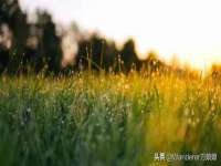 广灵县久盛农牧有限公司