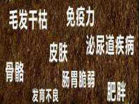广灵县久盛农牧有限公司