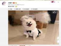 广灵县久盛农牧有限公司