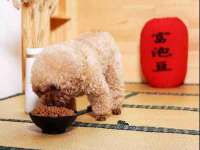 广灵县久盛农牧有限公司