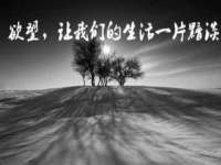 广灵县久盛农牧有限公司