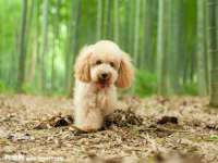 广灵县久盛农牧有限公司