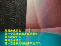 广灵县久盛农牧有限公司