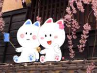 广灵县久盛农牧有限公司