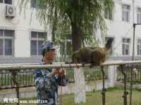 广灵县久盛农牧有限公司
