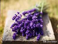 广灵县久盛农牧有限公司