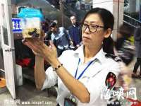 广灵县久盛农牧有限公司