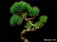 广灵县久盛农牧有限公司