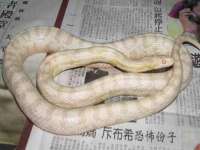 广灵县久盛农牧有限公司